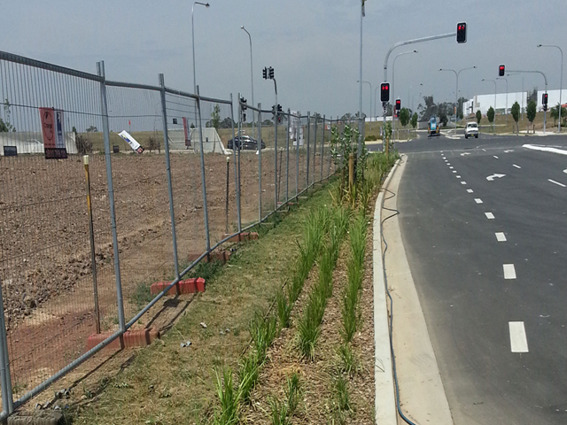 Planting OZ: Gregory Hills Corporate Park