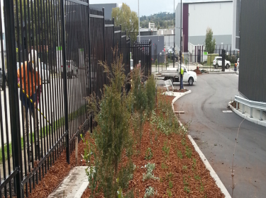 Planting OZ: Keylink Industrial Centre North