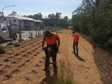 Planting OZ: Parkside at Glenfield Estates