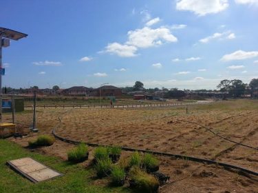 Planting OZ: Parkside at Glenfield Estates